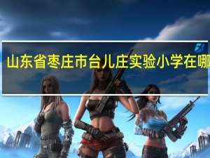 山东省枣庄市台儿庄实验小学在哪里啊