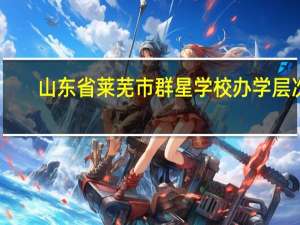 山东省莱芜市群星学校办学层次