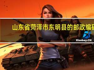 山东省菏泽市东明县的邮政编码