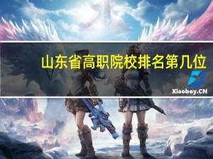 山东省高职院校排名第几位
