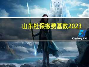 山东社保缴费基数2023