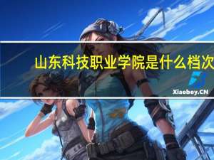 山东科技职业学院是什么档次