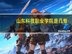 山东科技职业学院是几专