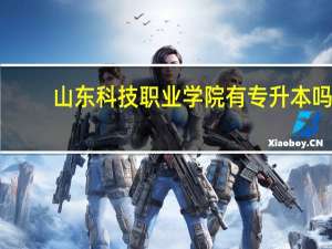 山东科技职业学院有专升本吗