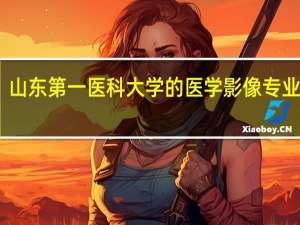 山东第一医科大学的医学影像专业好吗