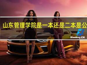 山东管理学院是一本还是二本 是公办吗