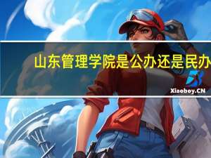 山东管理学院是公办还是民办