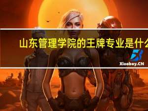 山东管理学院的王牌专业是什么