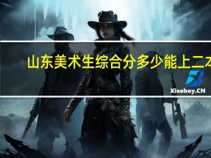 山东美术生综合分多少能上二本
