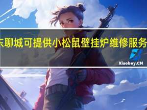 山东聊城可提供小松鼠壁挂炉维修服务地址在哪