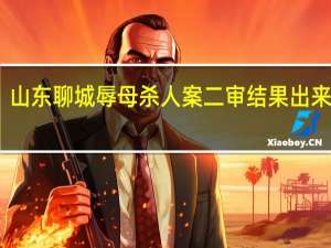 山东聊城辱母杀人案二审结果出来了吗
