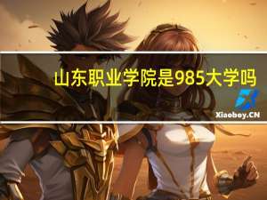 山东职业学院是985大学吗