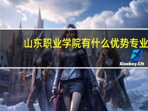 山东职业学院有什么优势专业