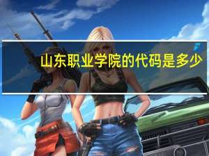 山东职业学院的代码是多少