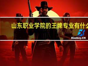 山东职业学院的王牌专业有什么