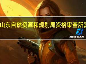 山东自然资源和规划局资格审查所需材料