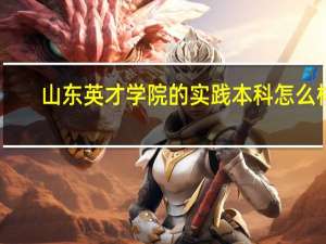 山东英才学院的实践本科怎么样