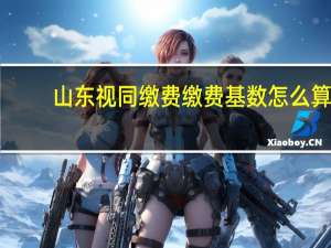山东视同缴费缴费基数怎么算