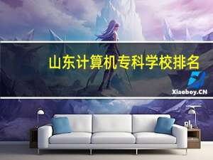 山东计算机专科学校排名