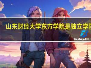 山东财经大学东方学院是独立学院吗