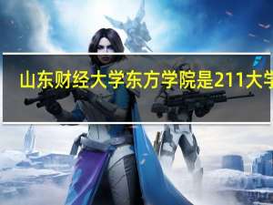 山东财经大学东方学院是211大学吗