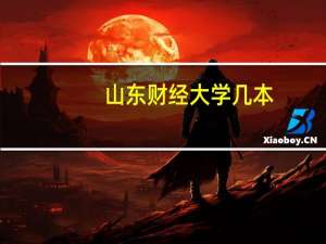 山东财经大学几本