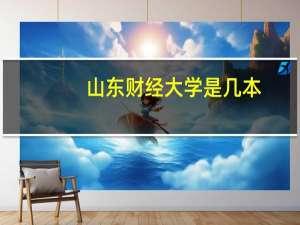 山东财经大学是几本