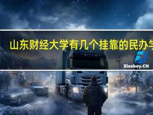 山东财经大学有几个挂靠的民办学院
