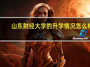 山东财经大学的升学情况怎么样