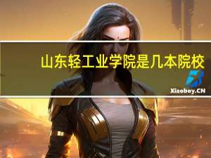山东轻工业学院是几本院校