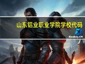 山东铝业职业学院学校代码