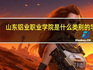 山东铝业职业学院是什么类别的学校