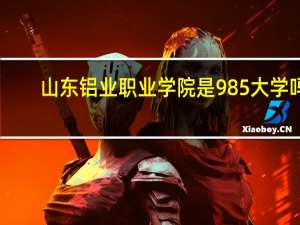 山东铝业职业学院是985大学吗
