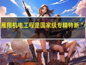 山东雁翔机电工程是国家级专精特新“小巨人”吗
