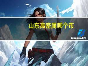 山东高密属哪个市