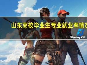 山东高校毕业生专业就业率情况