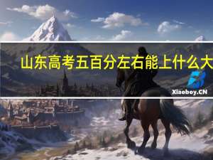 山东高考五百分左右能上什么大学