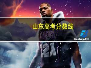 山东高考分数线