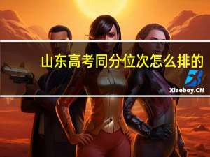 山东高考同分位次怎么排的
