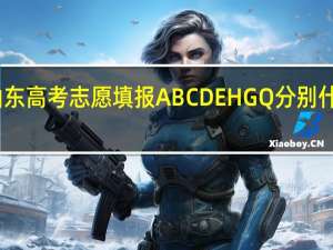 山东高考志愿填报A B C D E H G Q 分别什么意思