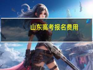山东高考报名费用