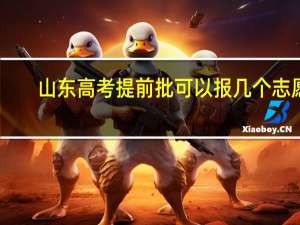 山东高考提前批可以报几个志愿