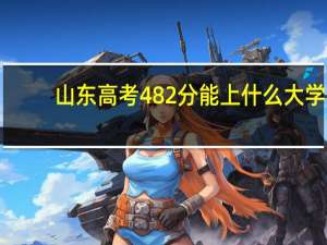 山东高考482分能上什么大学