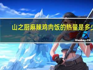 山之厨 麻辣鸡肉饭的热量是多少