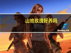 山地玫瑰好养吗