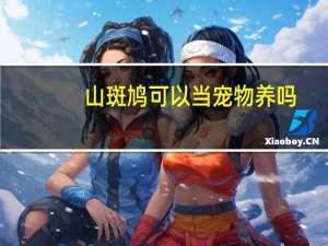 山斑鸠可以当宠物养吗