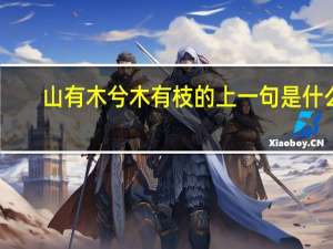 山有木兮木有枝的上一句是什么