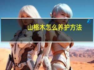 山格木怎么养护方法