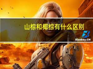 山棕和椰棕有什么区别