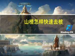 山楂怎样快速去核